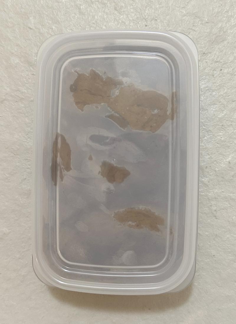 出品者名-写真-1