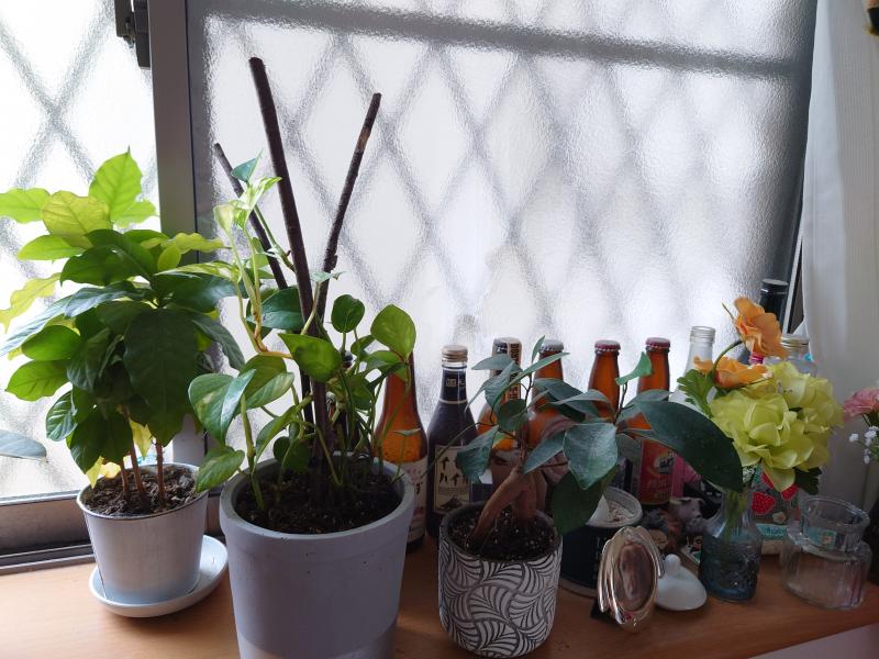 出品者名-写真-1
