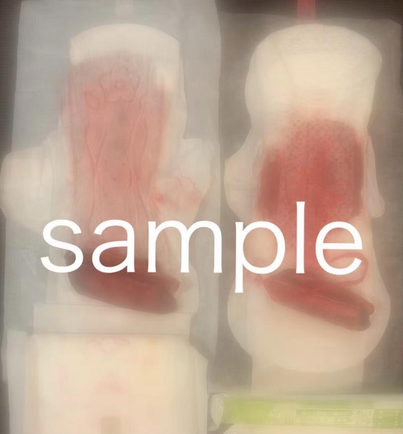 出品者名-写真