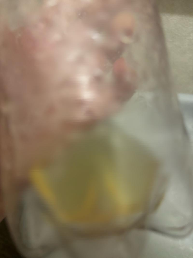 出品者名-写真
