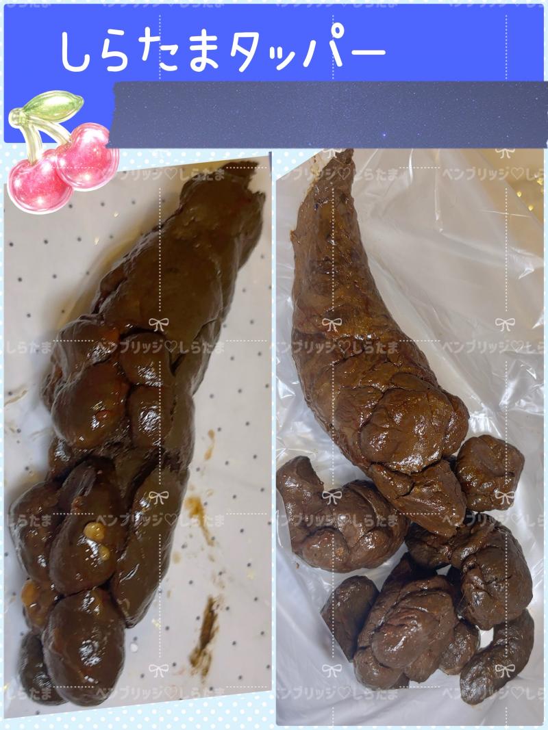 出品者名-写真