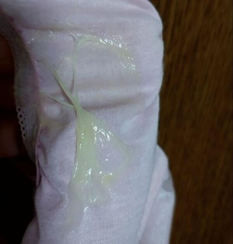 出品者名-写真