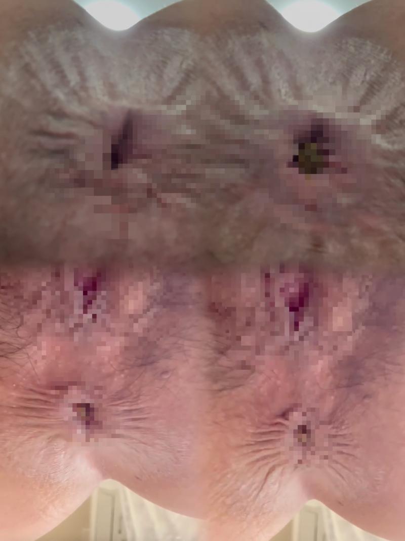 出品者名-写真-1