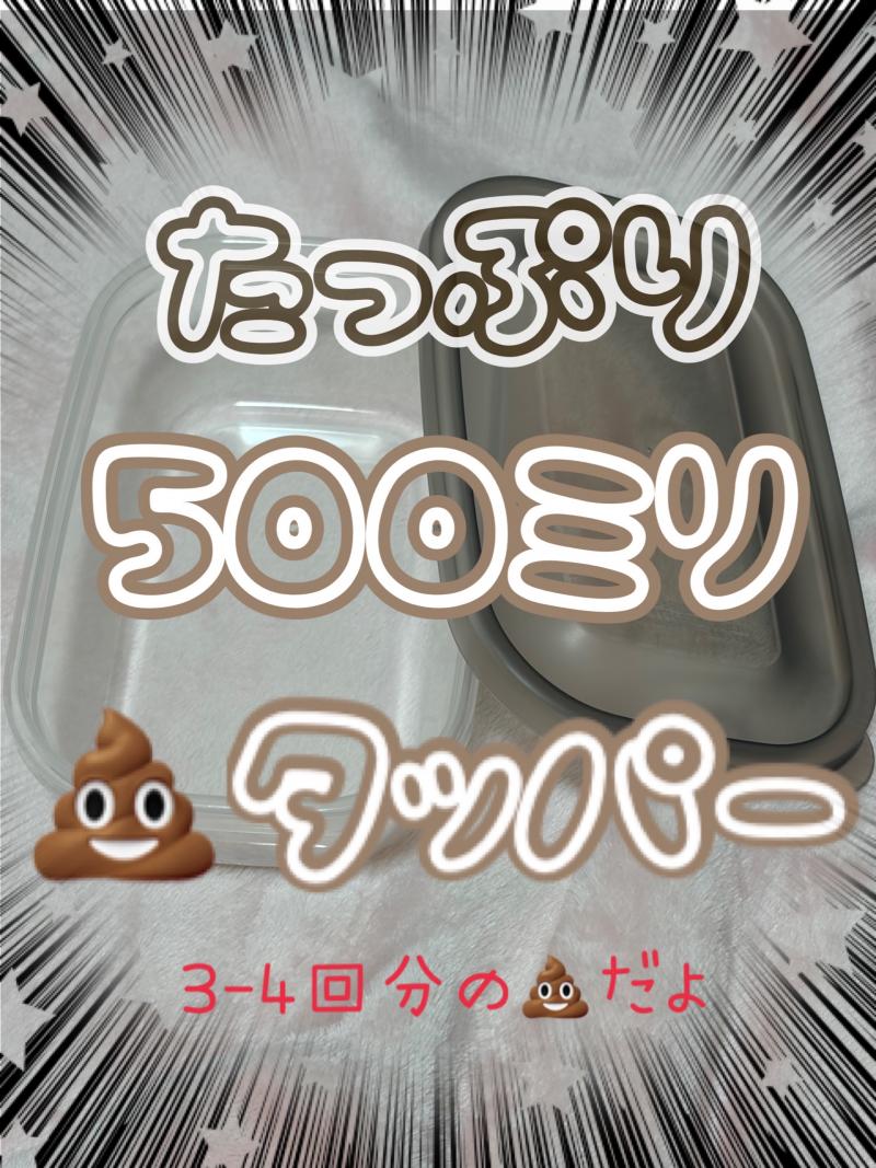 出品者名-写真