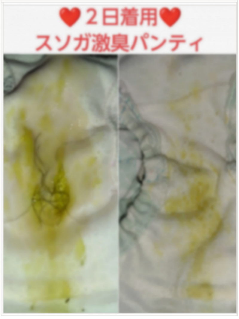 出品者名-写真