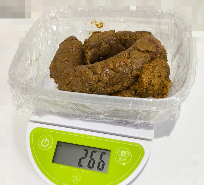 出品者名-写真-1
