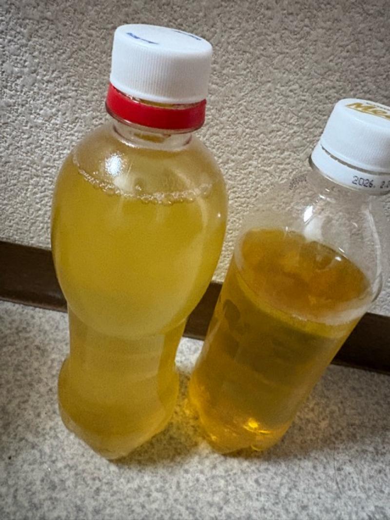 出品者名-写真