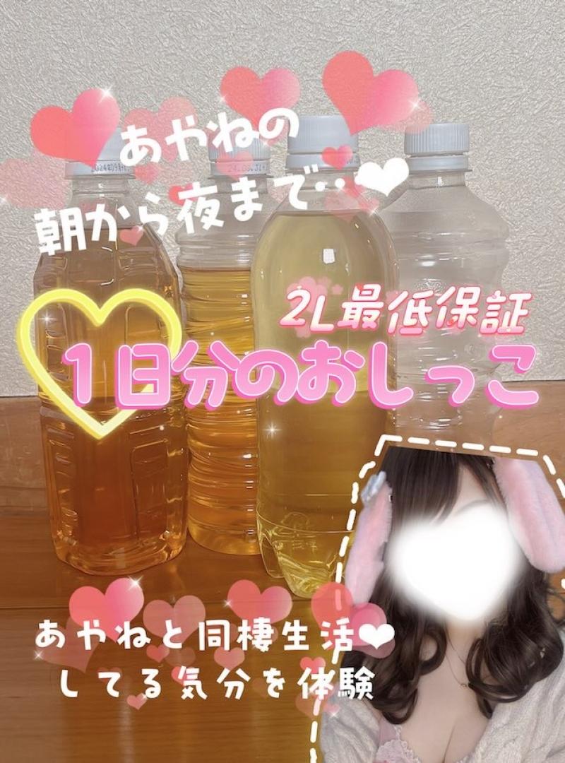 出品者名-写真-1