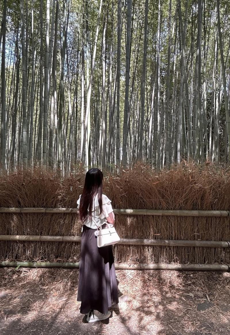 出品者名-写真