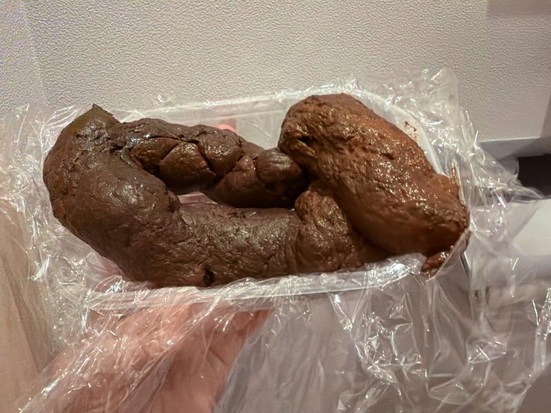 出品者名-写真-1