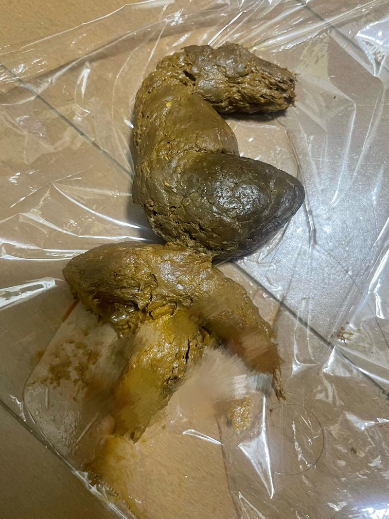 出品者名-写真-1