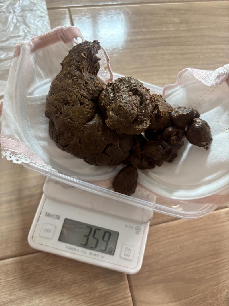 出品者名-写真-1