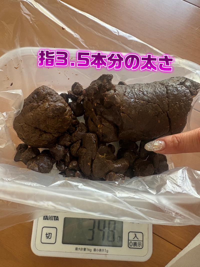出品者名-写真-1