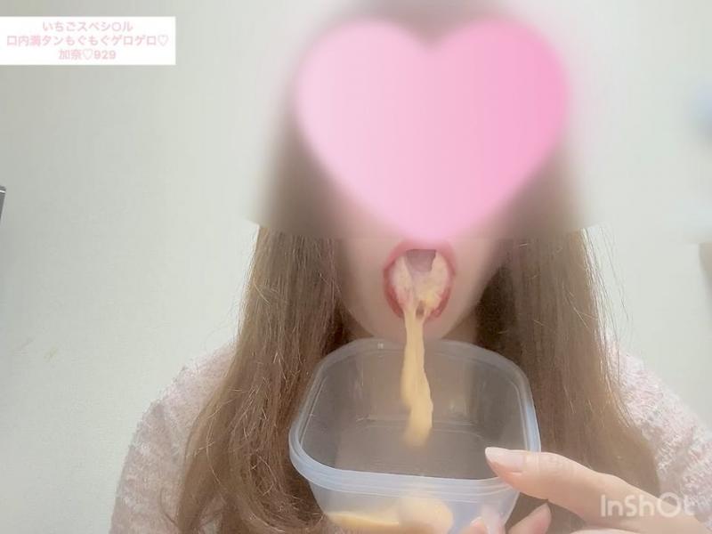 出品者名-写真-1