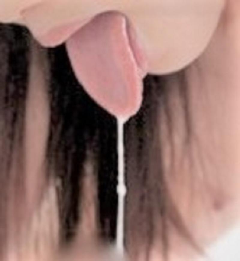 出品者名-写真
