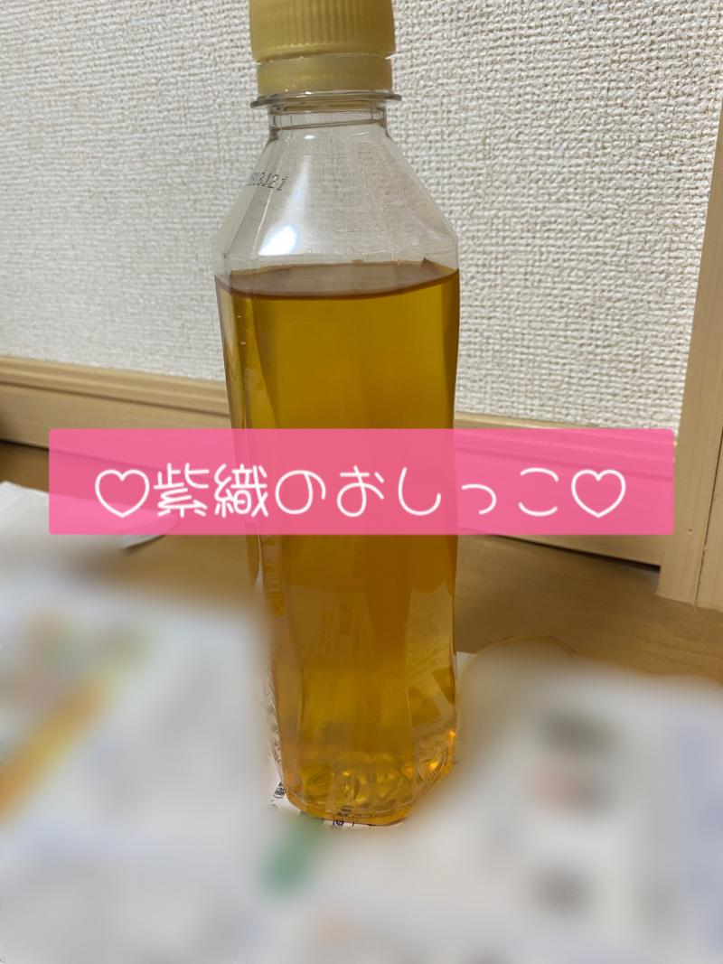 出品者名-写真-1
