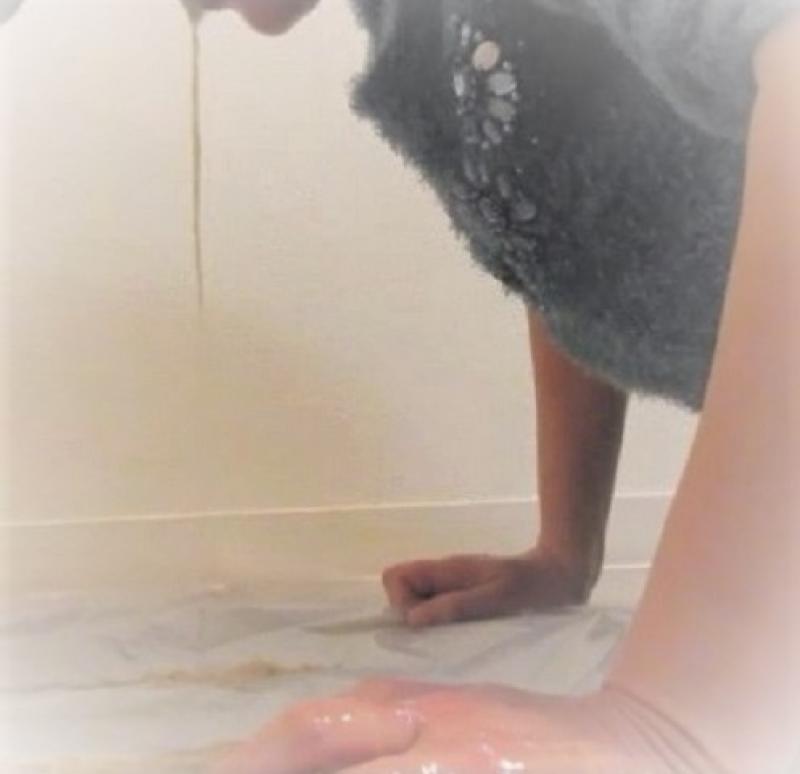 出品者名-写真-1