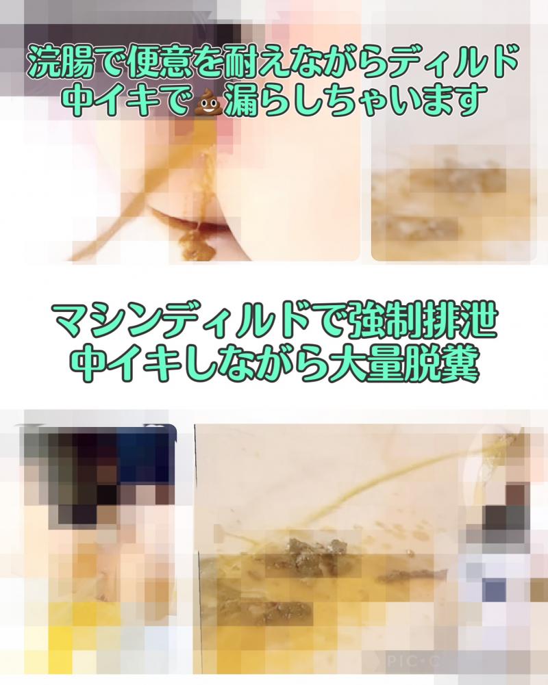 出品者名-写真