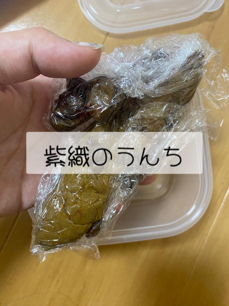 出品者名-写真