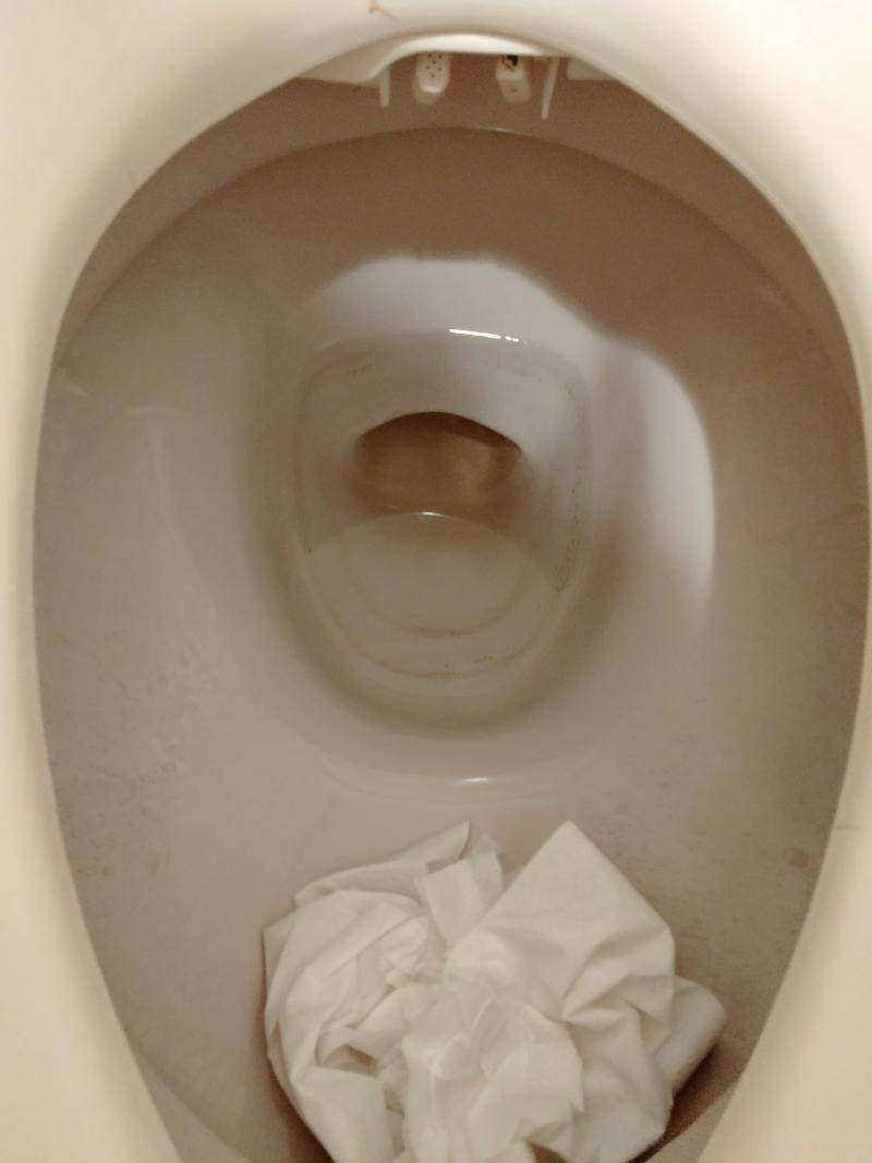出品者名-写真