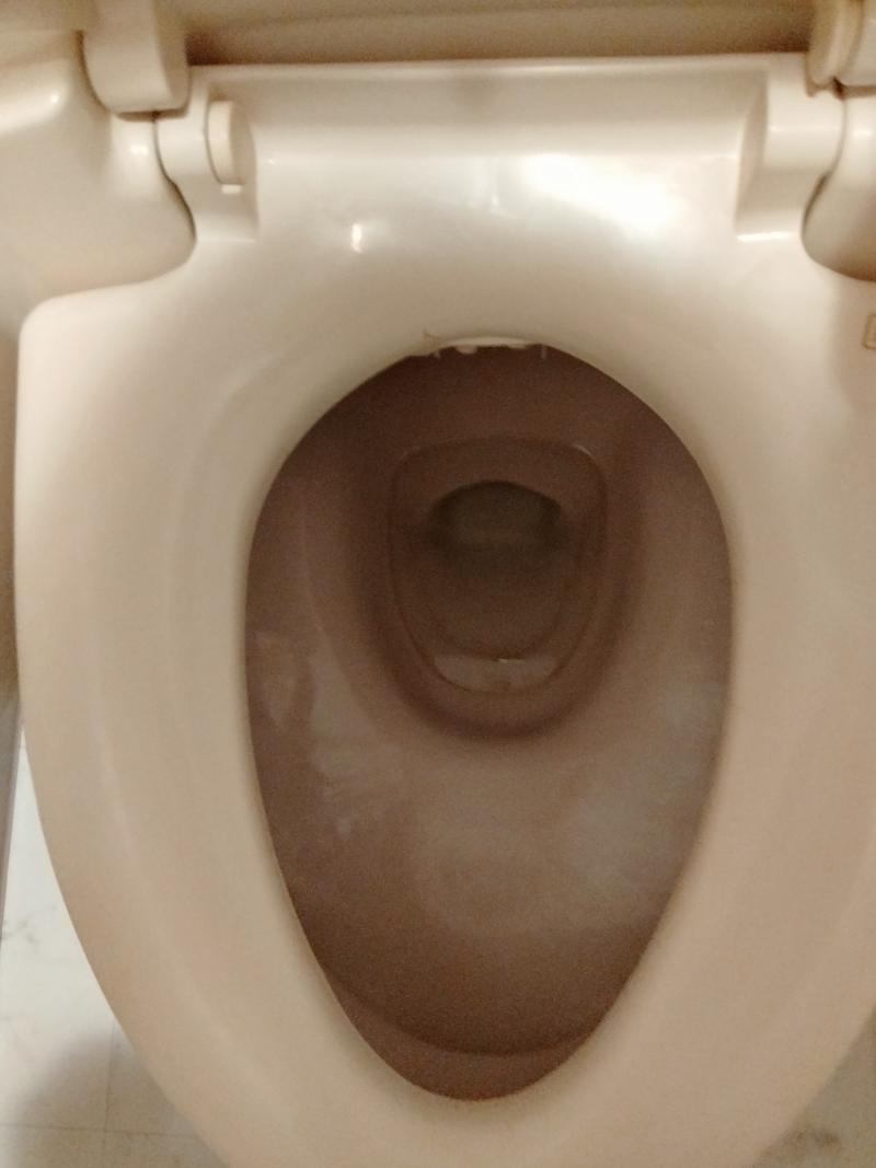 出品者名-写真