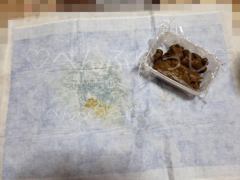 出品者名-写真-1