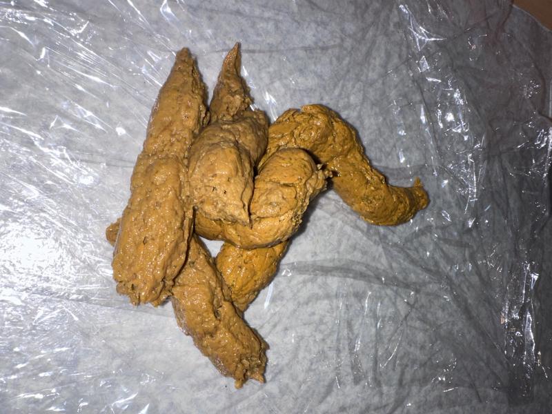 出品者名-写真