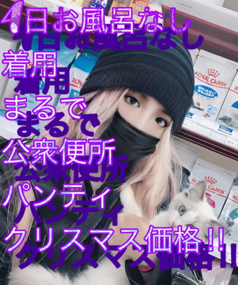 出品者名-写真