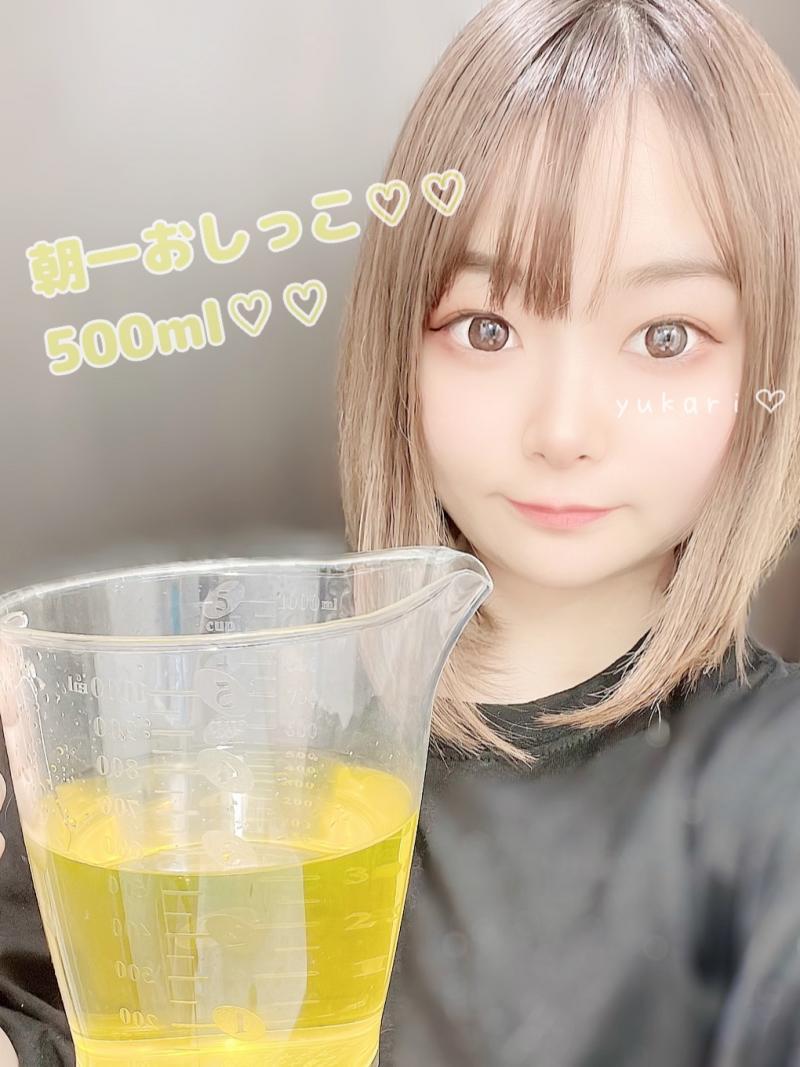 出品者名-写真