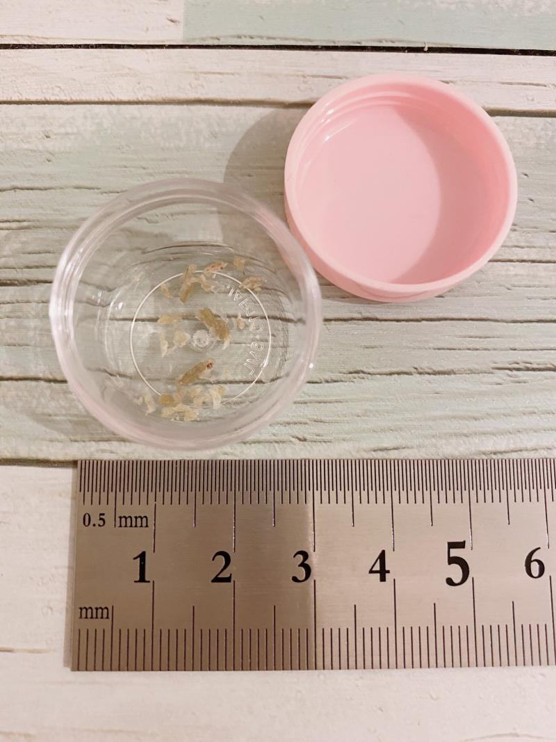 出品者名-写真