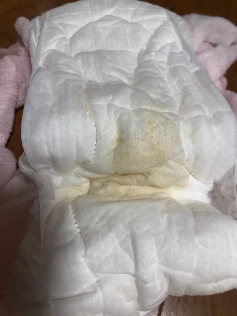 出品者名-写真