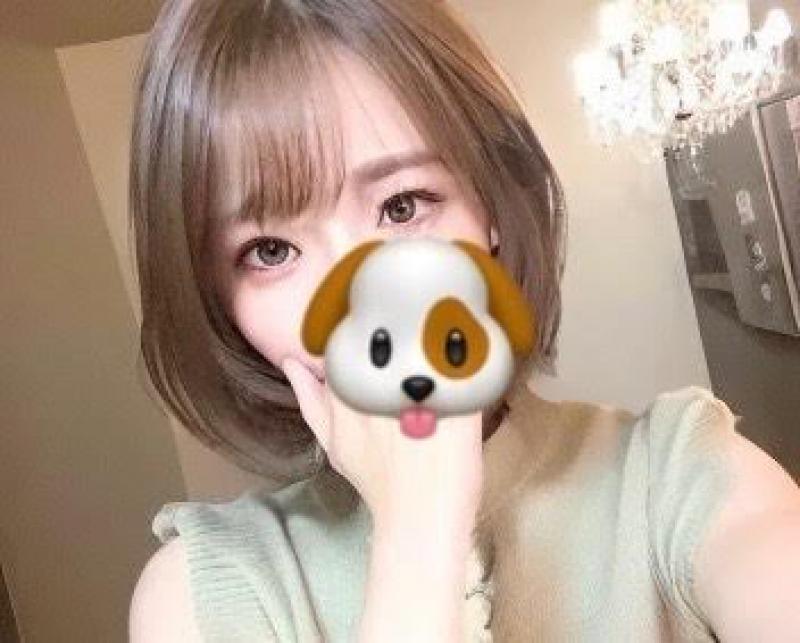 出品者名-写真