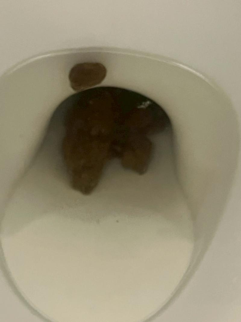 出品者名-写真-1