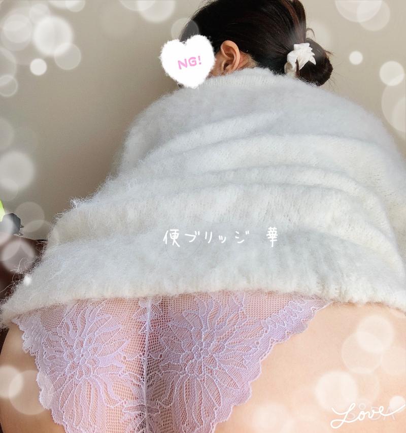 出品者名-写真-1